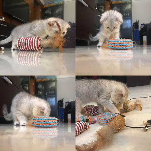 耐咬逗猫棒玩具小猫消耗体力 华元宠具羽毛自嗨磨牙洁齿木天蓼球