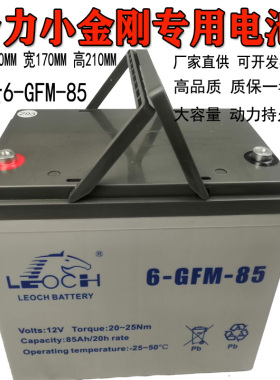 中力合力诺力西林搬易通力达WWP小金刚搬运车电瓶电池6-EVF-80/85