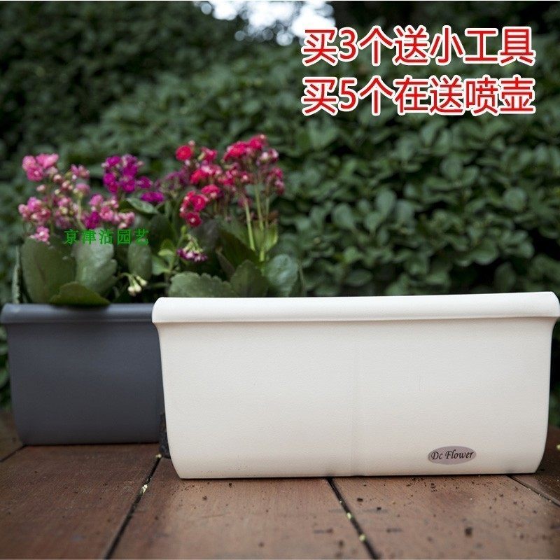 花博士花盆塑料长方形种花盘壁挂多肉蔬菜种植箱思大号阳台种菜盆,鲜花速递/花卉仿真/绿植园艺,花盆,淘宝优惠券,粉丝福利购,淘宝优惠卷