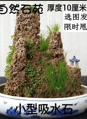 天然上水石吸水石原石假山盆景摆件观赏石鱼缸造景奇石微景观