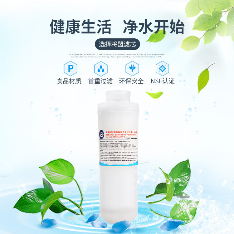 家用净水器过滤器前置PPF滤芯直饮水自来水陶瓷滤芯替换装配件