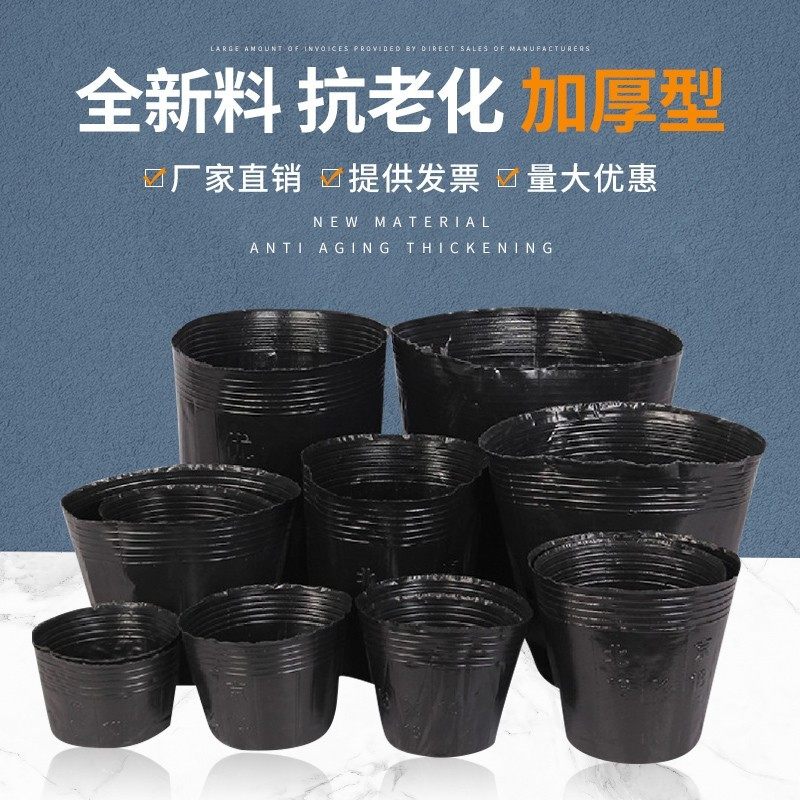 营养育 营养杯直色防老化塑料钵苗杯 一次性育苗盆育苗袋厂家黑销