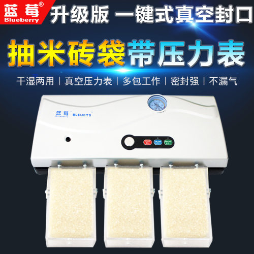 蓝莓牌全自动小型商用抽真空封口机 米砖袋家用食品包装机压缩机