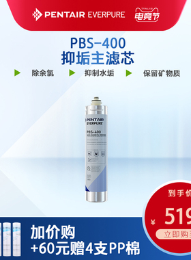 爱惠浦净水器活性炭主滤芯净水机耗材自来水过滤器配件PBS-400