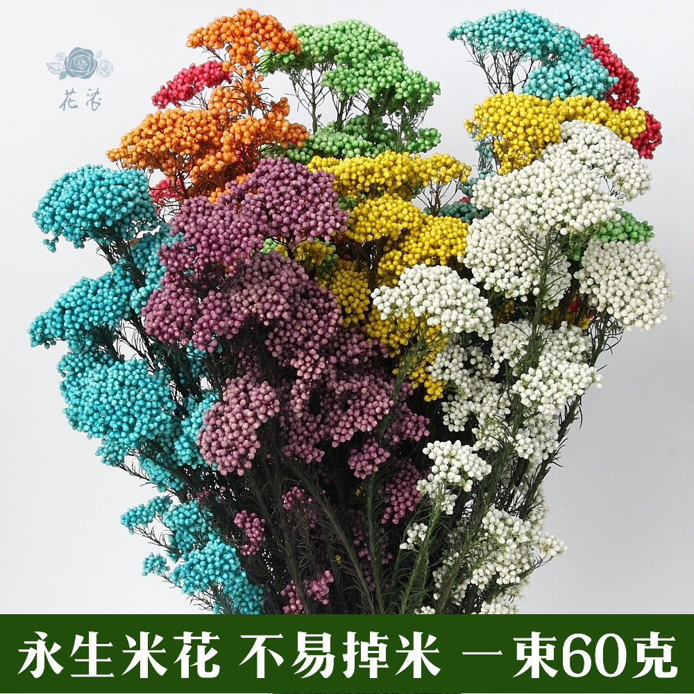 永生米米花 家居干花花瓶手工插花真花家居装饰花束diy材料,家居饰品,干花/花瓣/干花包/干树枝,淘宝优惠券,粉丝福利购,淘宝优惠卷