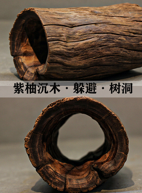 造景躲避沉木树洞南美异形繁殖产卵躲避窝鱼缸装饰摆件组合鱼窝木