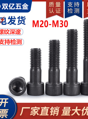 12.9级内六角螺丝杯头螺栓高强度加硬20厘M22M24M30个大内六方