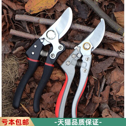 剪枝果树修枝剪刀园艺园林剪修花枝剪家用剪子花剪剪枝剪刀省力剪