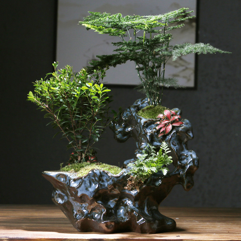 创意个性大号绿植盆景花盆新中式大口径盆栽陶瓷花盆多肉拼盘花器
