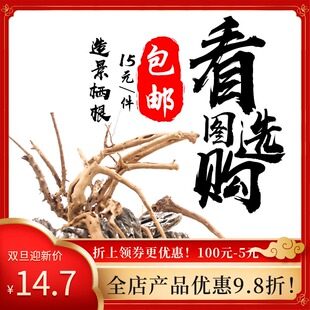 沉木小号造景木鱼缸装饰枯木杜鹃根天然水草莫斯流木拱桥树森林