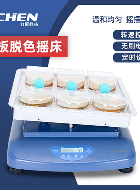 力辰科技翘板脱色摇床数显电泳凝胶脱色振荡摇床实验室均匀振荡器