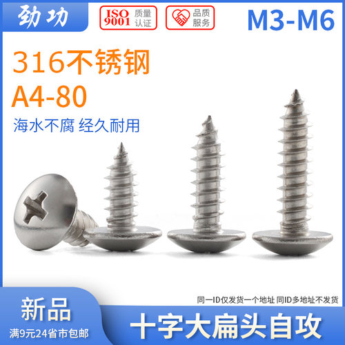 316不锈钢大扁头自攻螺丝钉长木螺钉十字槽蘑菇头螺丝钉M3M4M5M6
