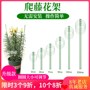 爬藤花架铁艺月季铁线莲番茄百合植物盆栽攀爬防垂家用简易支撑架