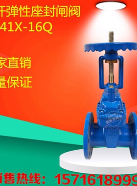 Z41X-16明杆弹性座封闸阀DN100 DN125 DN150 DN200 DN250 DN300
