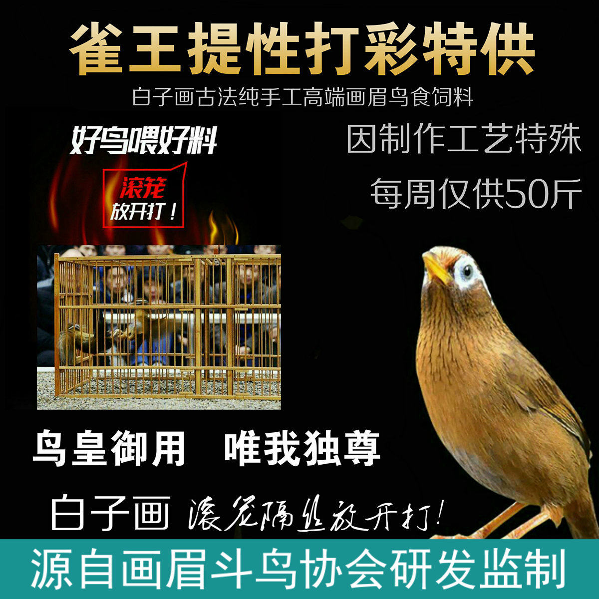 白子画AA手工画眉斗鸟食雀王比赛打大彩饲料提性壮膘收身上力专用