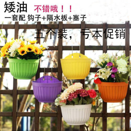五个盆绿萝花用专装吊篮盆半圆形壁挂花盆树脂花盆塑料花盆大号