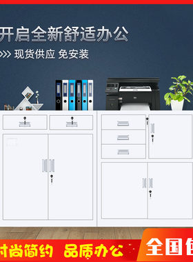 办公柜子矮柜对开门铁皮矮柜办公室铁皮小文件柜二斗矮柜靠墙地柜