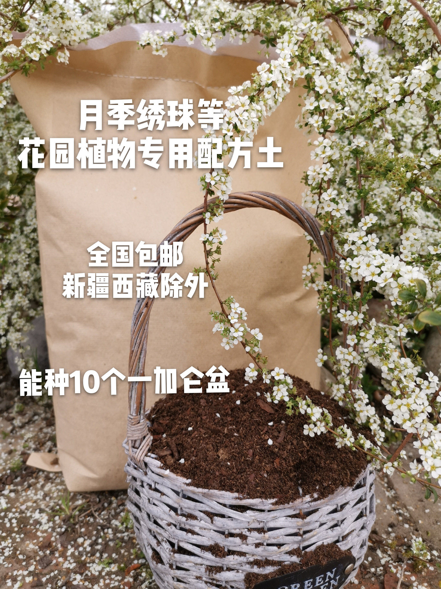 玫瑰半岛配方月季绣球花卉种植营养土小包约5个1加仑