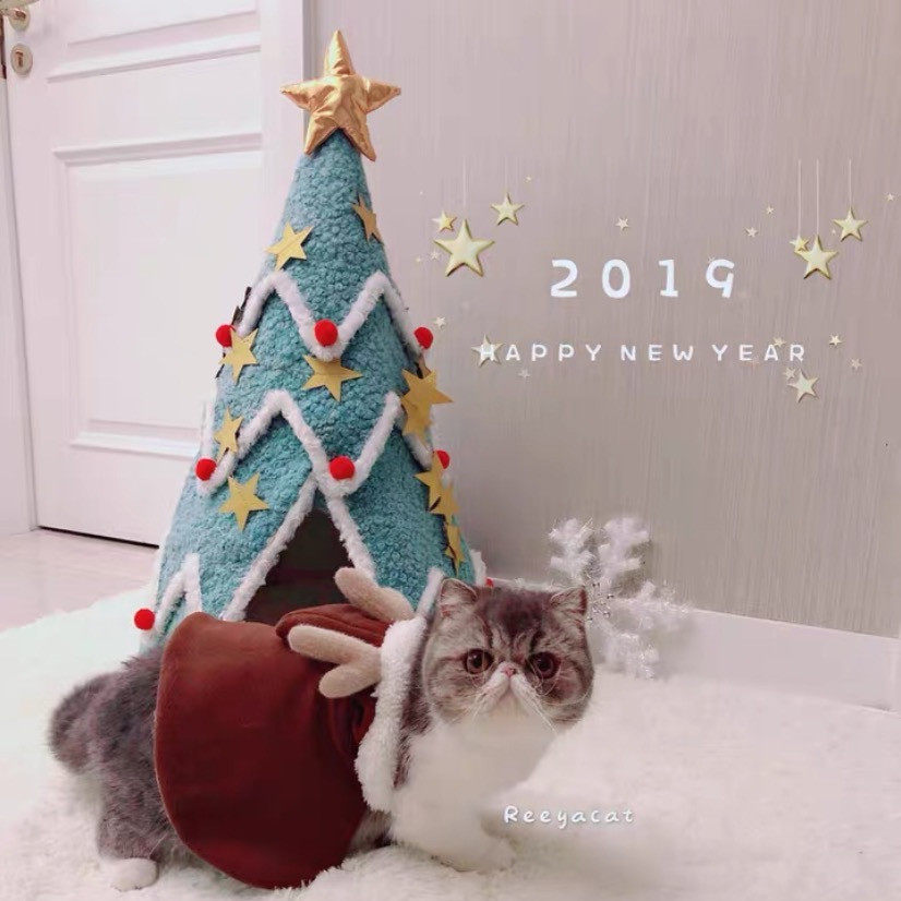 冬季圣诞树猫窝星星猫房子保暖防风创意宠物窝泰迪比熊蒙古包狗窝