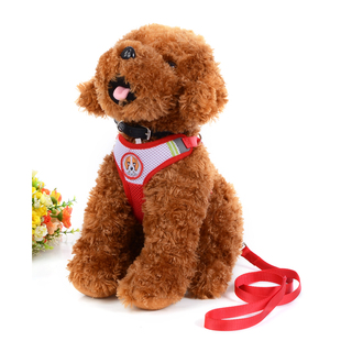 速发胸背带泰迪狗熊比链型小子犬狗链狗绳子用品