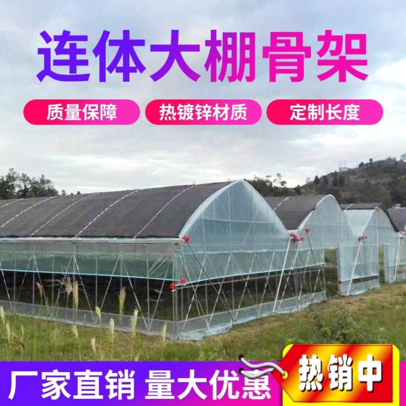 养殖大羊套架钢管架保温全u骨椭圆管鸡舍猪舍n牛棚圈