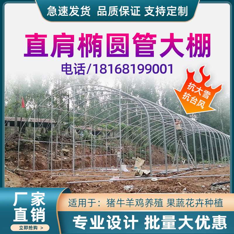 高档牛棚骨架养鸡场猪舍大棚羊大保温棚户外钢管钢u架蔬菜圈棚奢