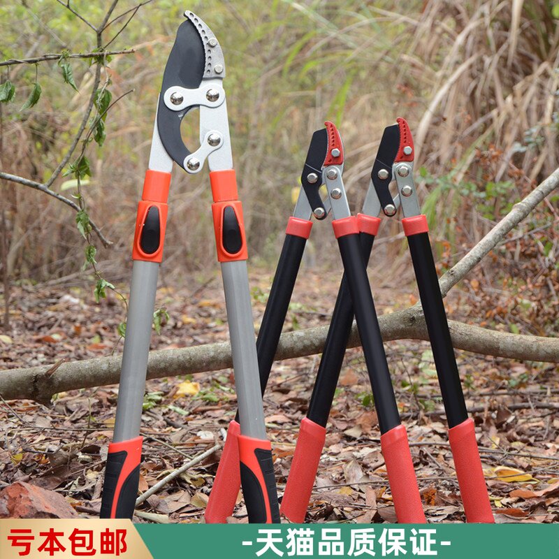 速发园艺剪刀果树修剪树枝修枝剪粗枝剪大力工大剪花省力剪园林剪