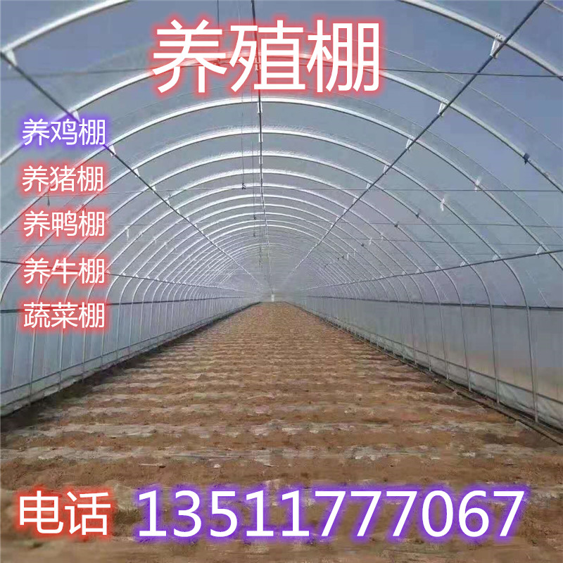 养殖大棚骨架钢j管全套鸡舍养鸡鸭猪鹅大棚设备养鸡场鸡棚搭建户
