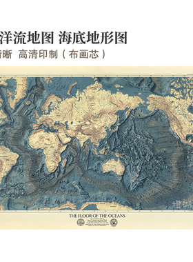 速发世界洋大海高地貌地形图 底清尺寸流小布画芯客厅装饰画