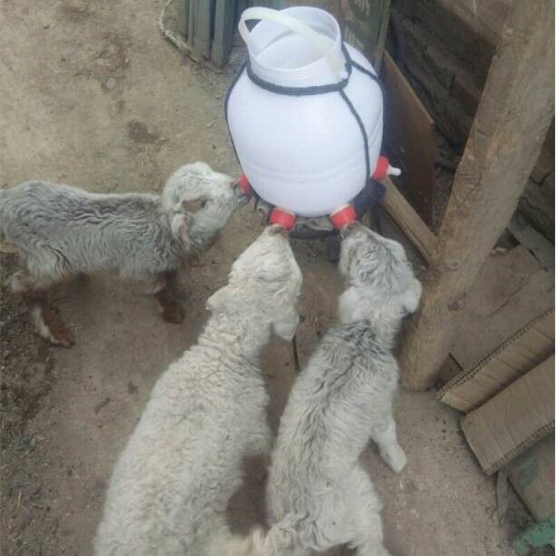 喂奶机容量喂奶牛羊乳猪养猪奶嘴羊羔多嘴奶瓶小猪新濮