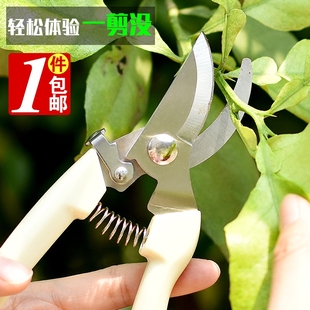 速发园林园艺剪刀园丁剪花枝修剪树枝包刀果枝剪修花剪刀枝修剪刀
