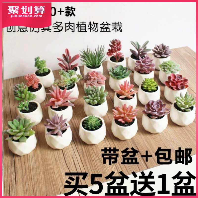 假多肉植物盆栽 迷你仿真小肉肉假花盆景 家居室内装饰品绿植摆件