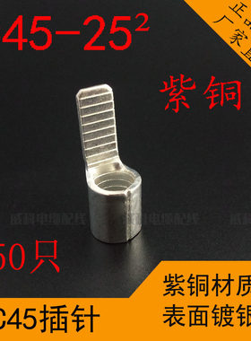 C45-25平方插针冷压接线端子插片空开J铜线鼻子线耳铜接头镀银紫