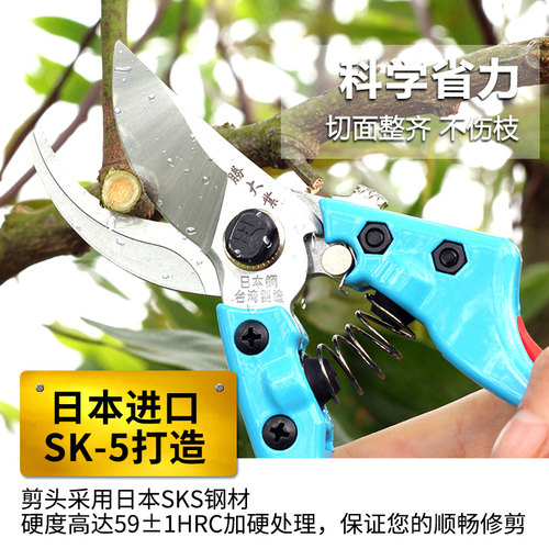 绿化家用修枝剪修花木园林工具园A艺剪刀果树剪子粗枝剪花剪树枝