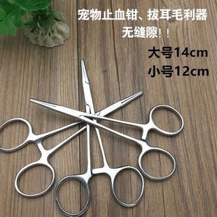 狗狗拔毛钳宠物拔耳毛钳子棉花钳泰迪贵宾耳朵清洁夹止血钳不锈钢