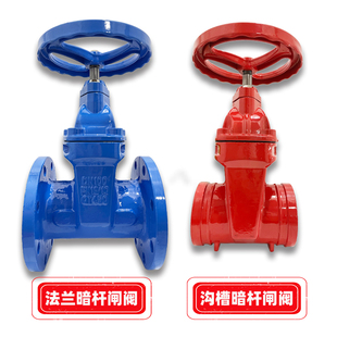 天津塘沽阀门瓦特斯阀门厂 法兰/沟槽式软密封闸阀 Z45X RVHX