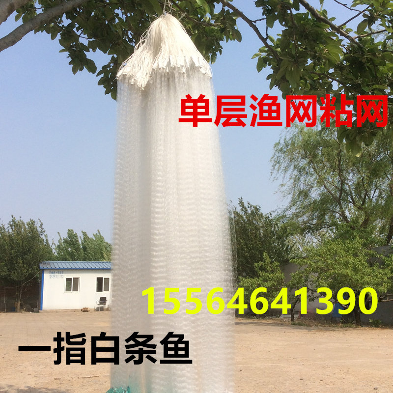 速发网粘网100米长丝网粘白1指水库三层捕单层沉网网条网