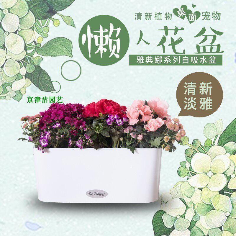 创意长方形自动吸水花盆绿萝室内烤漆工艺桌面懒人花盆塑料包邮