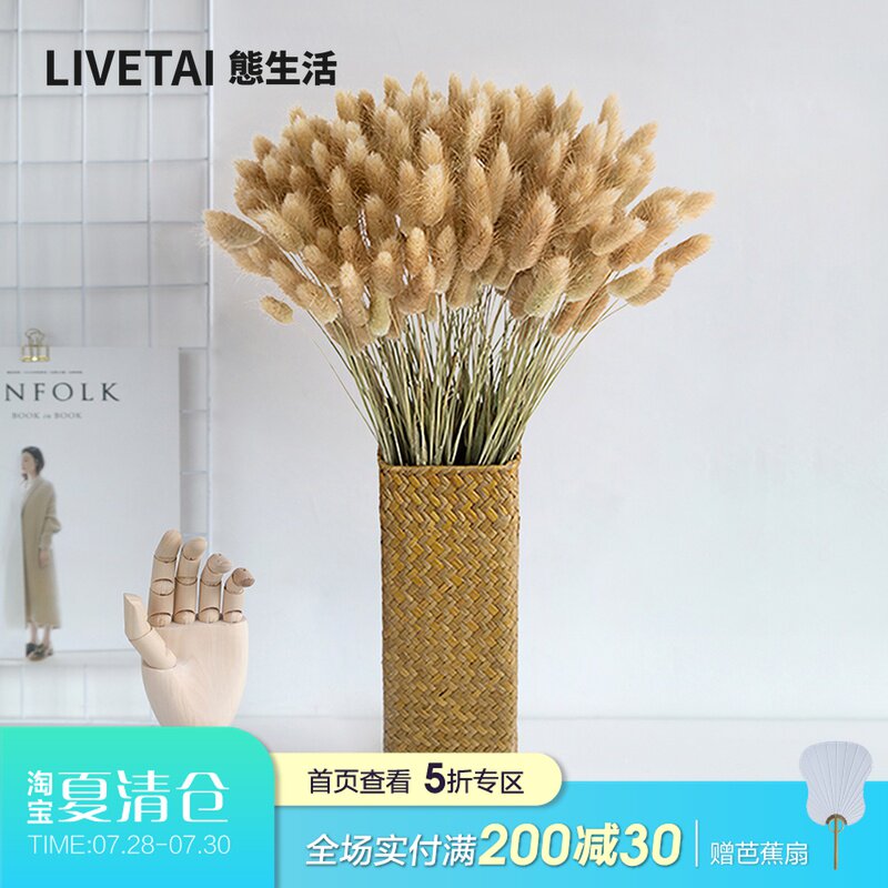 速发兔尾草狗尾草干花永生花风干真花花束 厅文艺客风装饰摆件