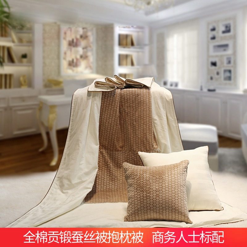 蚕丝抱枕被子两用汽车载车内上靠垫背纯棉沙发靠S枕头二合一午休,居家布艺,抱枕被,淘宝优惠券,粉丝福利购,淘宝优惠卷