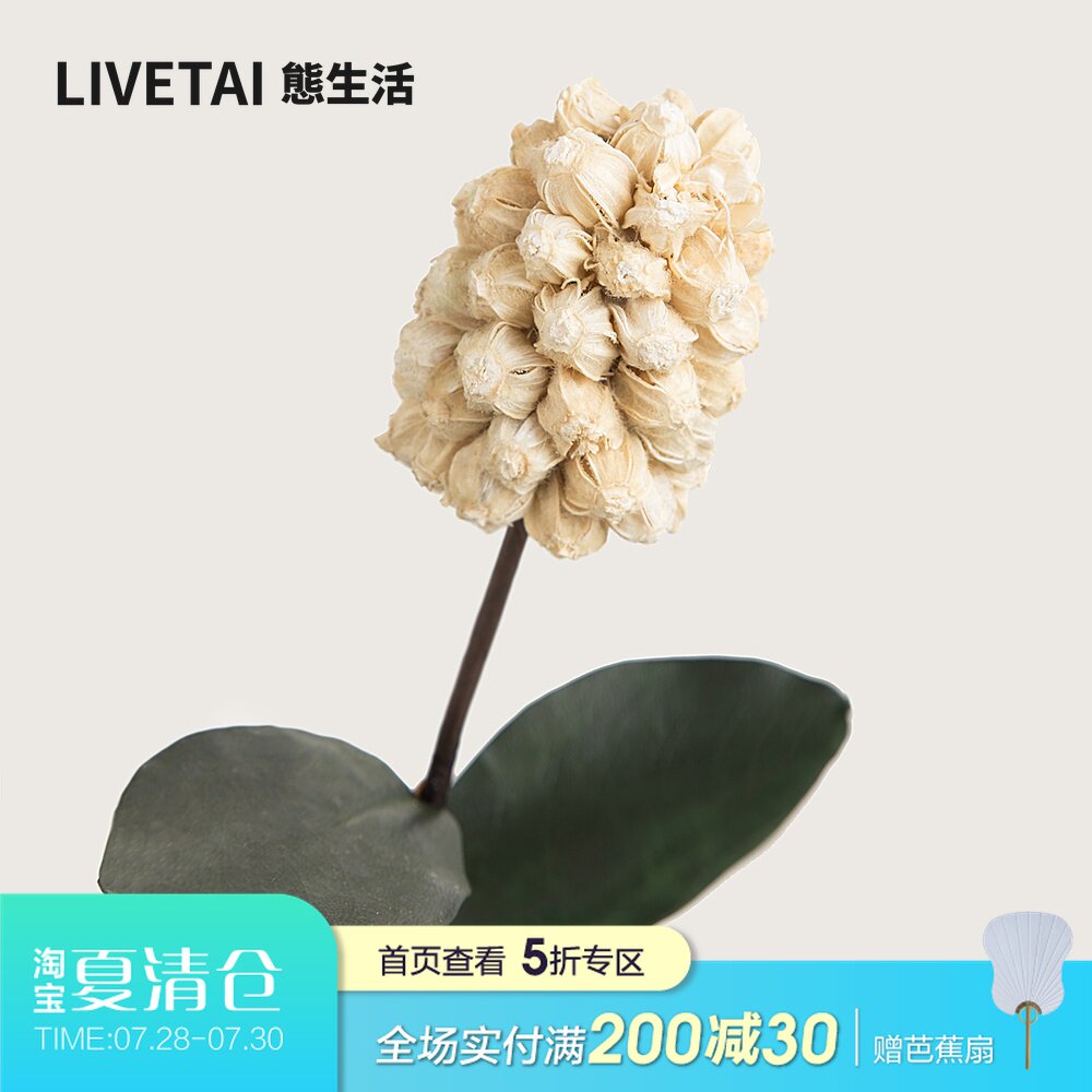 速发子生活 手工风信态艺术干家花束装饰花真花永生花花居客厅摆