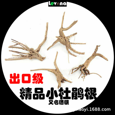 出口窈窕木driftwood栖根小沉木漂流木空气凤梨鱼缸造景杜鹃根