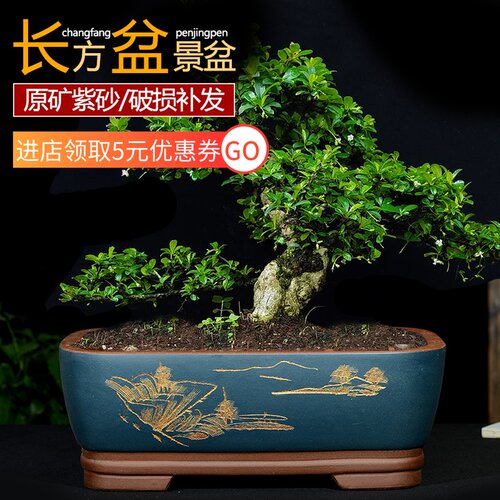特大号紫砂花盆长方形盆景盆马槽盆室内阳M台花卉盆假山造景陶瓷