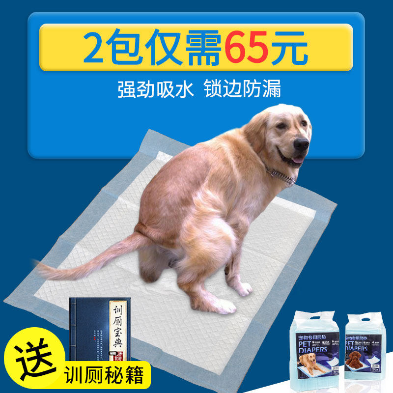 速发尿片尿点金毛用吸动水物大狗厕所后布尿垫产尿用品