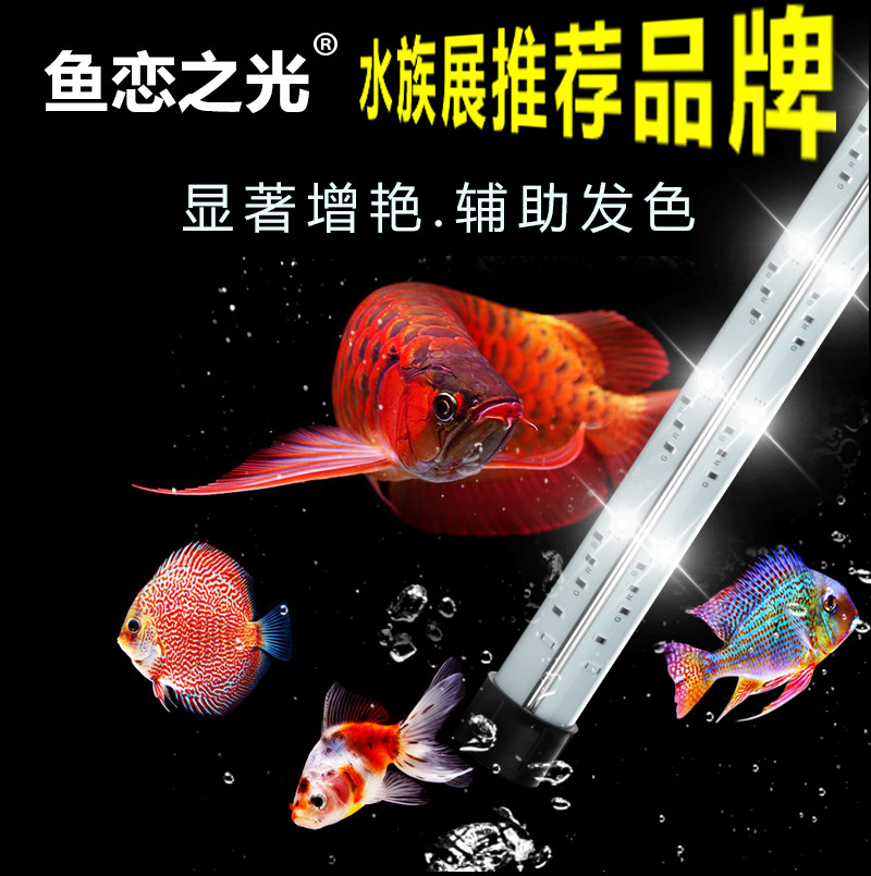 红龙专用灯锦鲤灯七彩神仙灯金鱼灯鹦鹉三湖罗汉鱼缸灯led灯防水