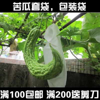 苦瓜专用套袋丝瓜袋防雨水防鸟防虫透气纯木浆纸白色黄瓜纸袋包邮