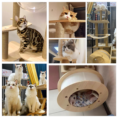 宠贝亚猫爬架实木猫窝猫树一体全实木猫架猫塔太空舱剑麻大型架子