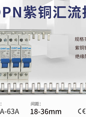1P+N漏电断路器25A32A40A50A63A空气开关DPN单P两极紫铜汇流排
