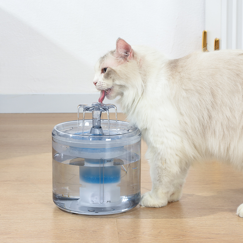 透明猫咪饮水机 宠物饮水器 自动循环流动活水盆恒温不湿嘴喝水器
