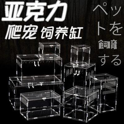 爬宠饲养箱亚克力爬宠箱蜘蛛守宫蜥蜴蝎子蜈蚣饲养盒高透拼装盒